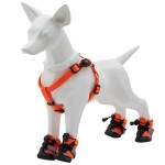 Fiberglass Dog Mannequin Manufacturer - Wholesale Custom Design Dog Models Large