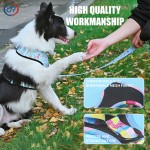 Dog Harness and Leash Set Manufacturer - Low MOQ OEM/ODM Custom Logo Printing