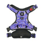 Printed Dog Harness Set Manufacturer - No Pull Personalized Pet Accessories