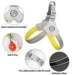 Reflective Dog Harness Manufacturer - Hot Selling Padded Vest Adjustable Chest