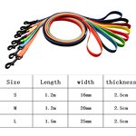 PVC Waterproof Dog Lead Manufacturer - Anti Dirty Easy to Clean All Sizes