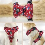 Christmas Dog Harness Set Manufacturer - OKKPETS Custom No Pull Collar Leash
