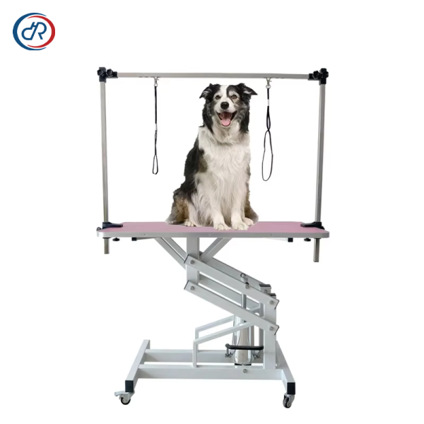 Electric Pet Grooming Table Manufacturer - DRH New Design Lift Stainless Steel