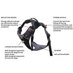 Designer Dog Harness Manufacturer - Hot Sale Adjustable Custom Luxury Wholesale