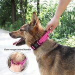 Pearl Dog Collar Necklace Manufacturer - Value Pack Custom Wholesale Training