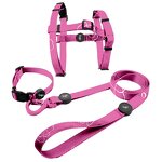 Custom Dog Harness Set Manufacturer - Polyester Neoprene Personalized High Quality