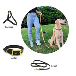 PU Dog Leashes Collar Manufacturer - Hot Sale Prints Customizable