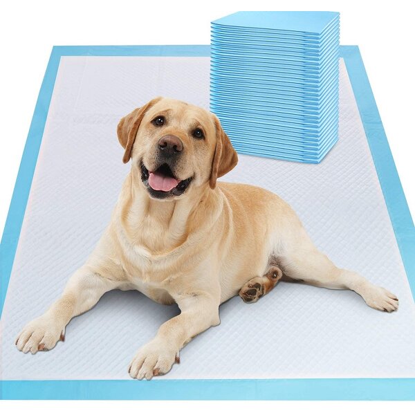 Disposable Puppy Pee Pads Manufacturer - Hot Sale Leak-Proof Quick-Dry Training