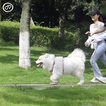 Step-In Dog Harness Manufacturer - Neoprene Voyager Adjustable No-Pull Customized