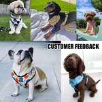 Designer Dog Harness and Leash Set Manufacturer - Breathable Adjustable Comfort