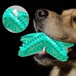 Dog Toothbrush Chew Toy Manufacturer - New Style Cleaning Dot Massage Toothpaste