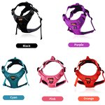 Designer Dog Harness Manufacturer - Hot Sale Adjustable Custom Luxury Wholesale