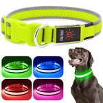 LED Dog Collar Manufacturer - USB Rechargeable Light up Soft Mesh Safety