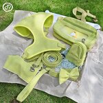 Luxury Corduroy Dog Harness Set Manufacturer - Adjustable Gold Metal Buckle Designer