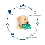 Dog Toothbrush Chew Toy Manufacturer - New Style Cleaning Dot Massage Toothpaste