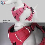 Designer Dog Harness Manufacturer - Hot Sale Adjustable Custom Luxury Wholesale