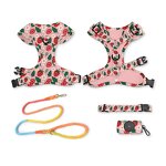 Designer Dog Harness and Leash Set Manufacturer - Breathable Adjustable Comfort