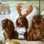 Reflective Dog Harness and Leash Set Manufacturer - Custom Logo Night Use