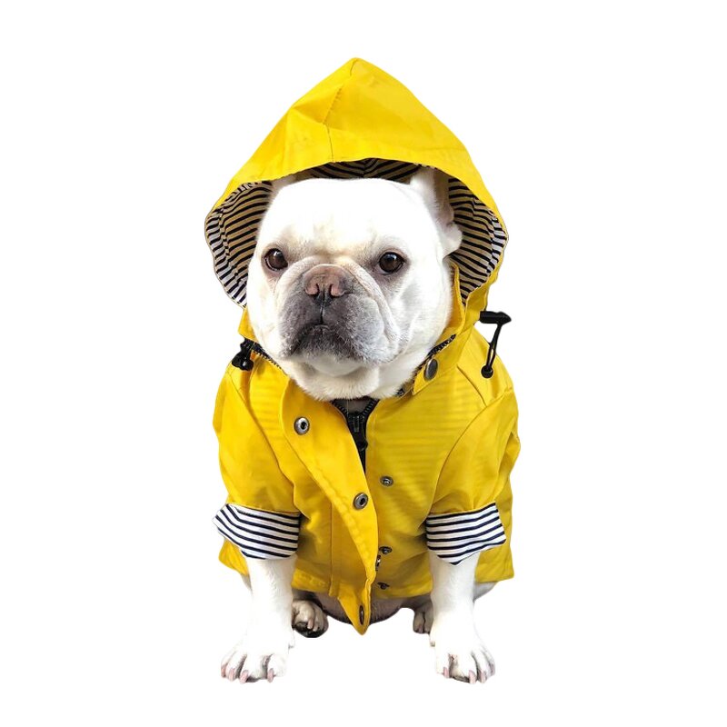 Dog Raincoat Manufacturer - British Style Hot Sale Yellow Stripe with Hood