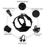 Soccer Texture Dog Harness Set Manufacturer - OEM/ODM Hot Sale for Training