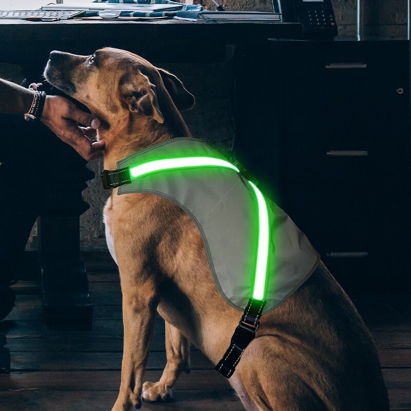 LED Pet Harness Manufacturer - 2024 New Design for Large Dog Light up