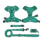 Designer Dog Harness and Leash Set Manufacturer - Breathable Adjustable Comfort