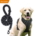 No Pull Dog Harness Set Manufacturer - Hot Sale Reflective Tough Adjustable Training