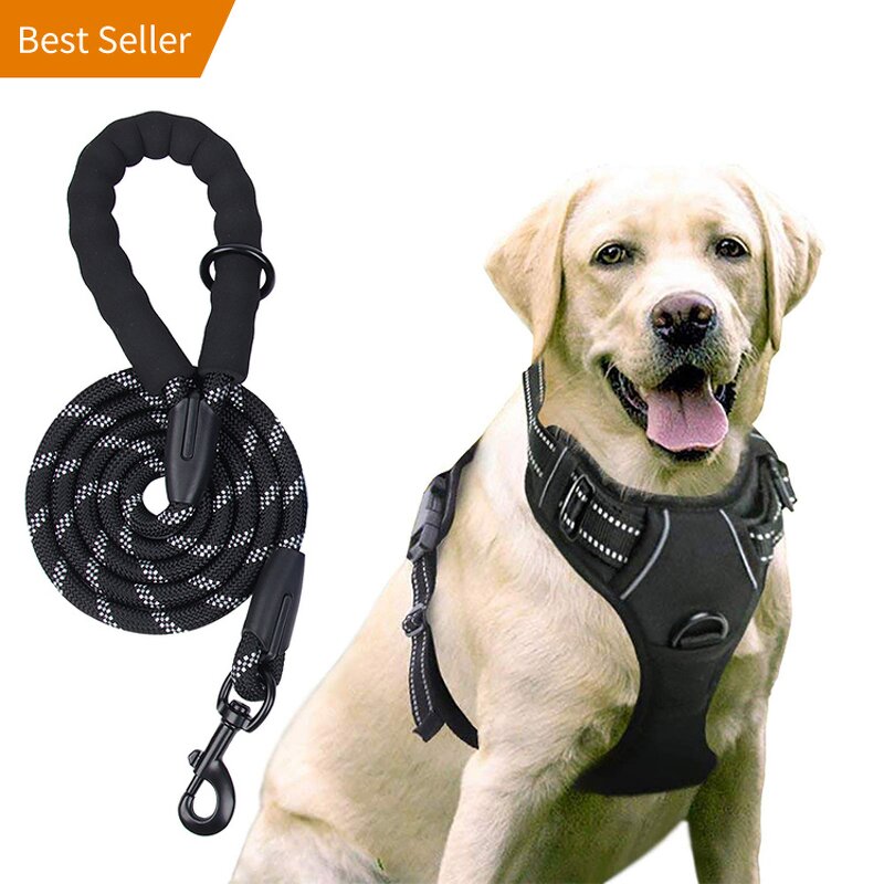 No Pull Dog Harness Set Manufacturer - Hot Sale Reflective Tough Adjustable Training