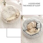 Macaron Round Cat Bed Manufacturer - Luxury Half-Pack Soft Comfortable PP Carton