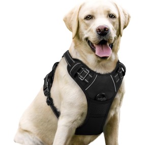 No Pull Dog Harness Set Manufacturer - Hot Sale Reflective Tough Adjustable Training