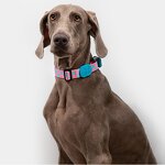 Slip Dog Collar Manufacturer - Reflective Strong Choker Training Anti Pull