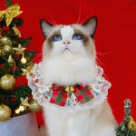 Christmas Cat Bib Bandana Set Manufacturer - Factory Wholesale Cute with Bow Tie