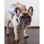 Fashion Dog Backpack Manufacturer - Accessories Vintage English Schena Refa