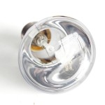 Reptile Heat Lamp Manufacturer - DRH Wholesale 40/60 Watt UVA Daylight Lamps