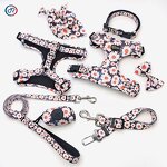 Custom Dog Harness Set Manufacturer - Hot Sale Low MOQ Polyester Personalized