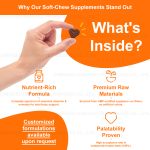 Dog Calming Soft Chews Manufacturer - OKKPETS Customized Private Label Anxiety Relieve