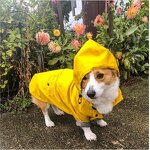 Dog Raincoat Manufacturer - British Style Hot Sale Yellow Stripe with Hood