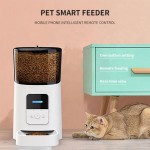 Smart Pet Feeder Manufacturer - Super Markets Modern App Wifi Automatic