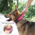 Cat Recovery Collar Manufacturer - Extra-Large Free Sample Training Tactical