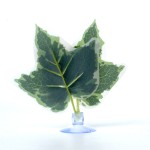 Fish Tank Aquarium Decoration Manufacturer - DRH Hot Sale Fighting Fish Spawning Leaf