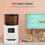 Automatic Pet Feeder Manufacturer - Super Markets Modern 2 Feed Wifi Smart