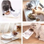 Elevated Cat Food Bowl Manufacturer - Eco Friendly 15 Degree Tilted Neck Protection