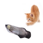 Electric Fish Cat Toy Manufacturer - Wholesale Manufacture 3D Fish Mold Silicon