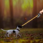 Automatic Retractable Dog Leash Manufacturer - Luxury PVC LED Illuminated Traction