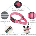 Martingale Dog Collar Set Manufacturer - OEM/ODM Reflective Polyester Nylon 2 Inch