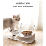 Elevated Cat Food Bowl Manufacturer - Eco Friendly 15 Degree Tilted Neck Protection