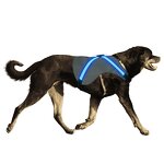 LED Pet Harness Manufacturer - 2024 New Design for Large Dog Light up