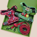 Christmas Dog Harness Set Manufacturer - OKKPETS Custom No Pull Collar Leash