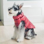 Winter Dog Jacket Manufacturer - High Quality Factory Wholesale Down Goose
