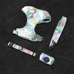 Reflective Dog Harness and Leash Set Manufacturer - Custom Logo Night Use